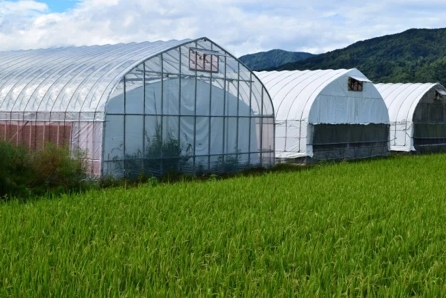 ハウスの構造から鮮度保持技術まで、施設園芸の基礎を学ぶ全2回