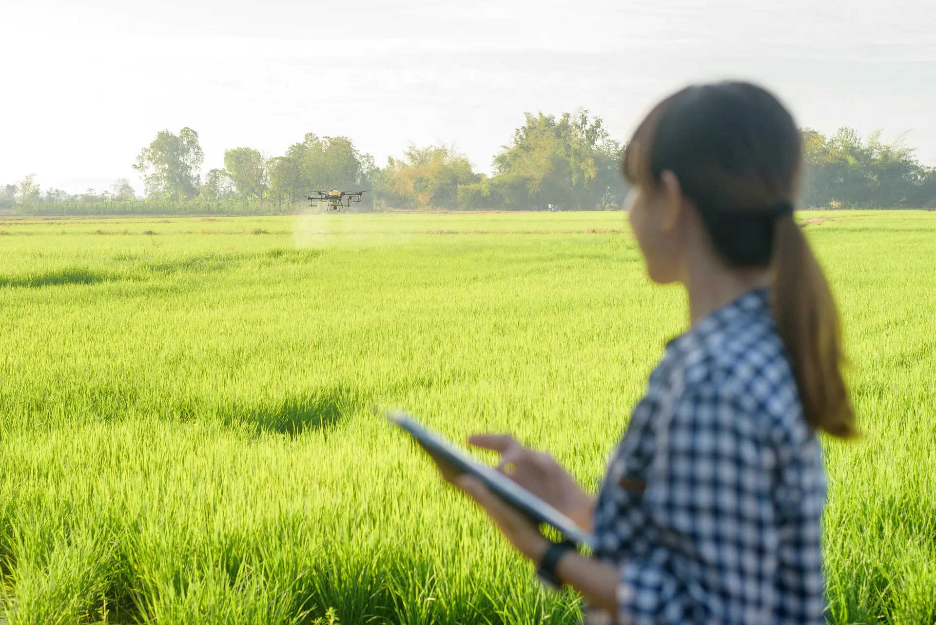 JAS認証からHACCP・GAPまで、生産工程管理を学ぶ全2回