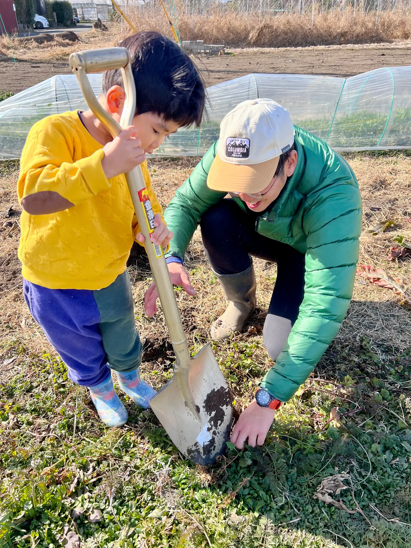 【埼玉・鴻巣】有機農業の畑で野菜セットをつくろう！(収穫体験)画像