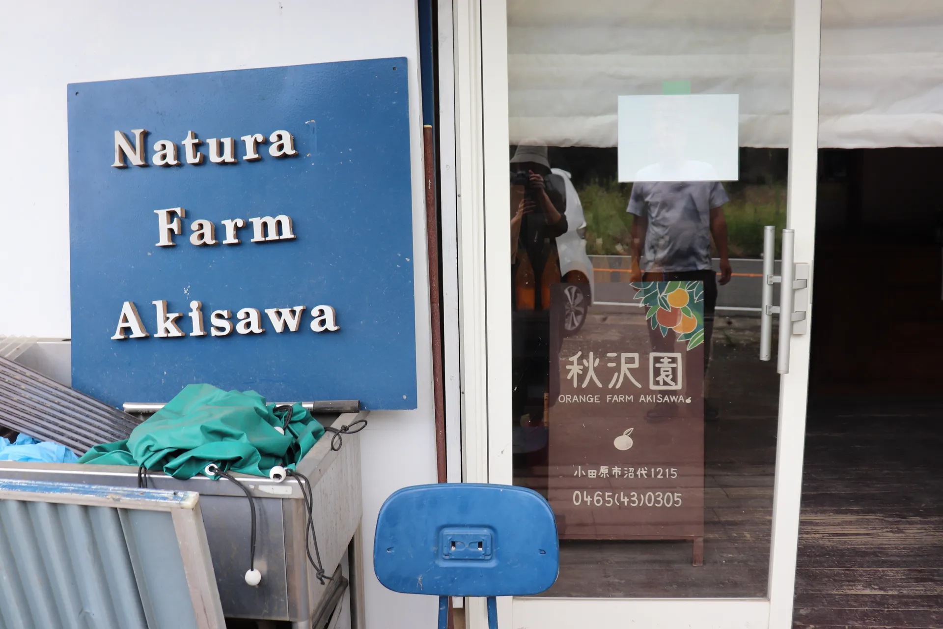 【神奈川県小田原】2日間限定開催！北限のみかんと珍しい国産キウイ収穫体験🍊🥝画像
