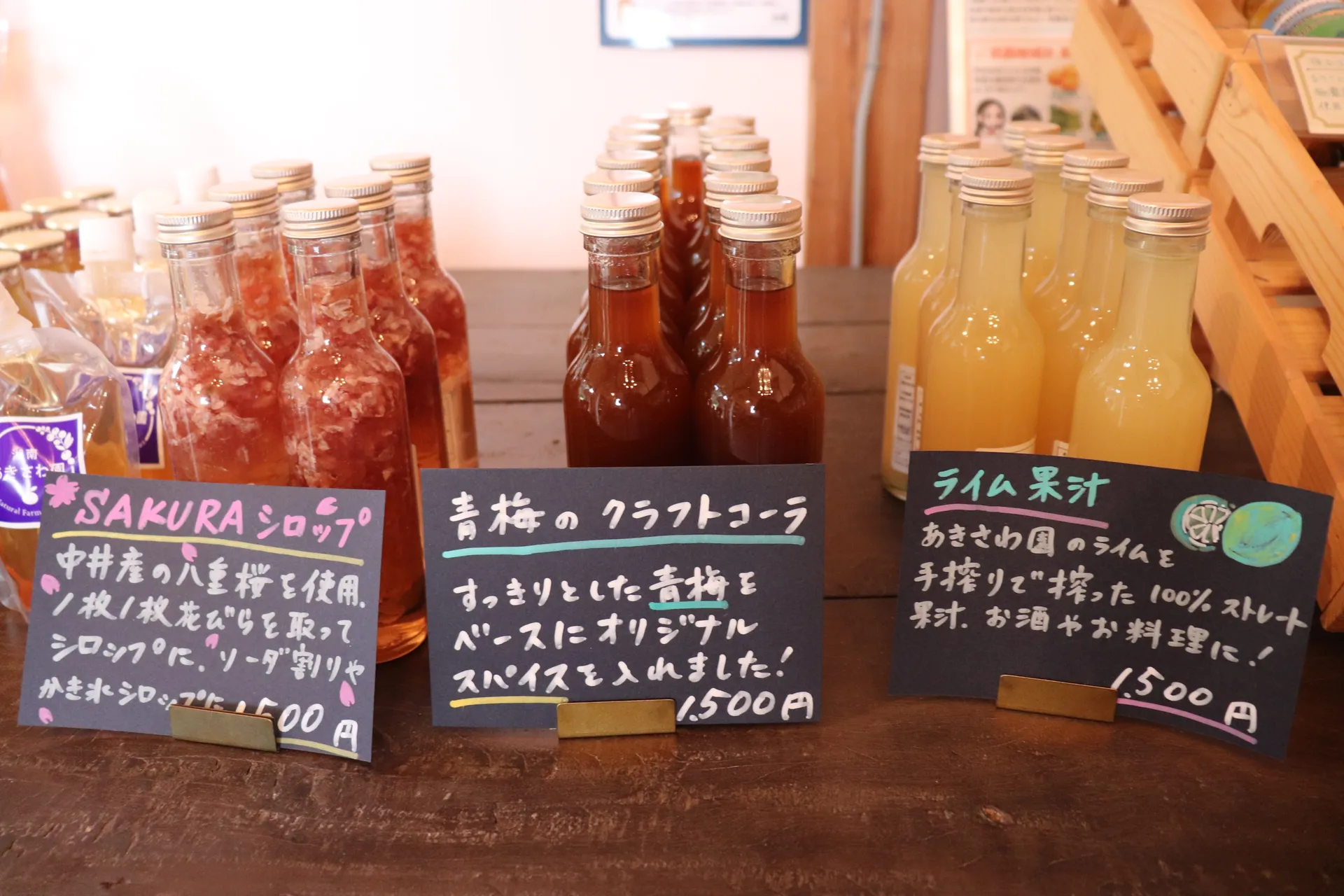 【神奈川県小田原】2日間限定開催！北限のみかんと珍しい国産キウイ収穫体験🍊🥝画像