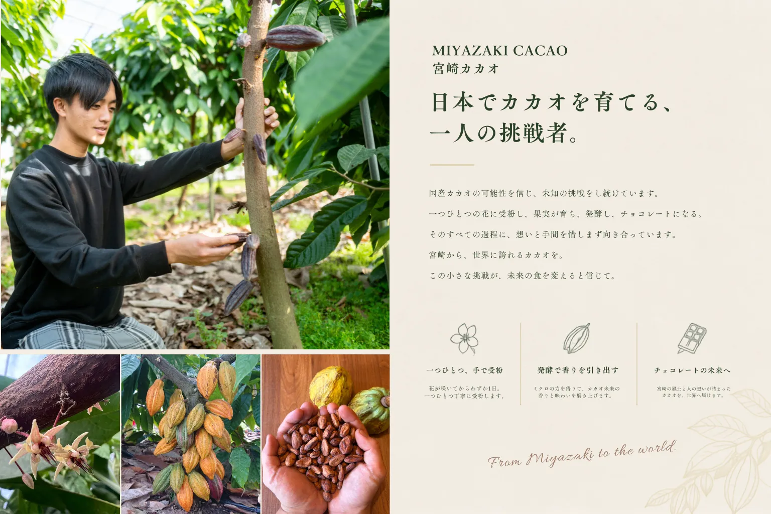 若手農家と巡る”宮崎の農と食の旅”画像
