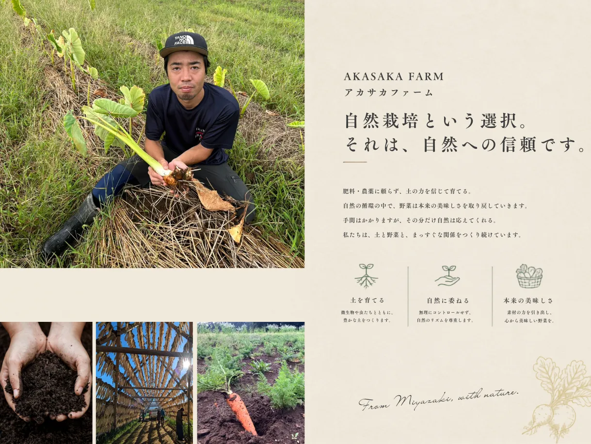 若手農家と巡る”宮崎の農と食の旅”画像