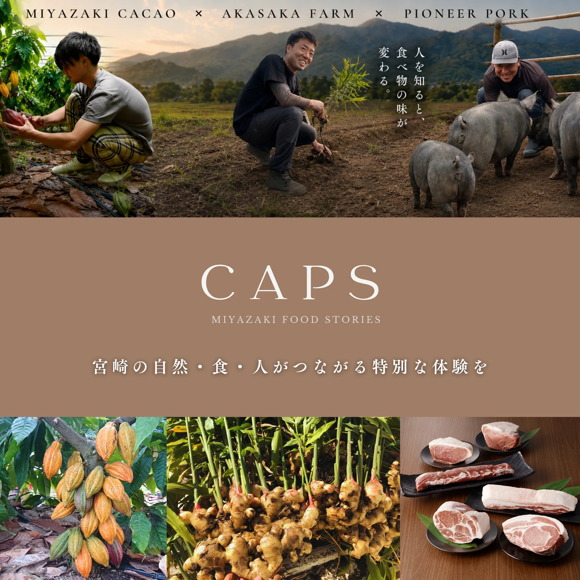 CAPsギャラリー1