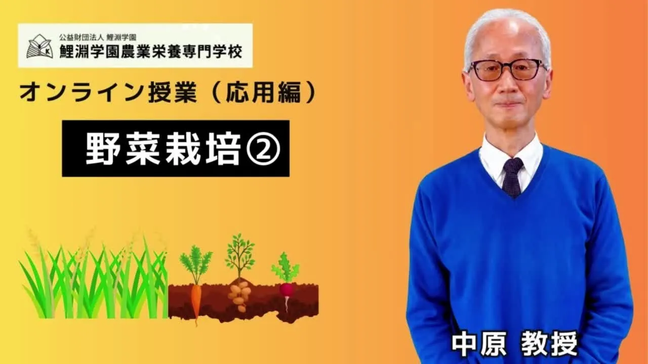 野菜栽培❷ イネ栽培の基礎知識-栽培条件・産地・品種選定のポイント