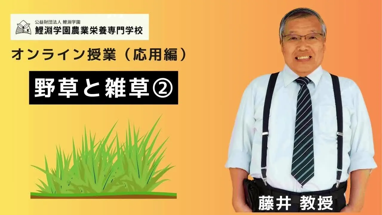 野草と雑草❷ 有機農業の雑草防除入門:除草機械からヘアリーベッジまで