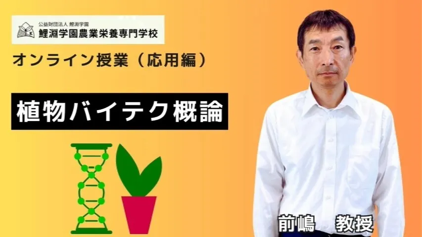 植物バイテク➌ 植物バイオテクノロジー概論ー分化全能性・組織培養の基礎と活用事例