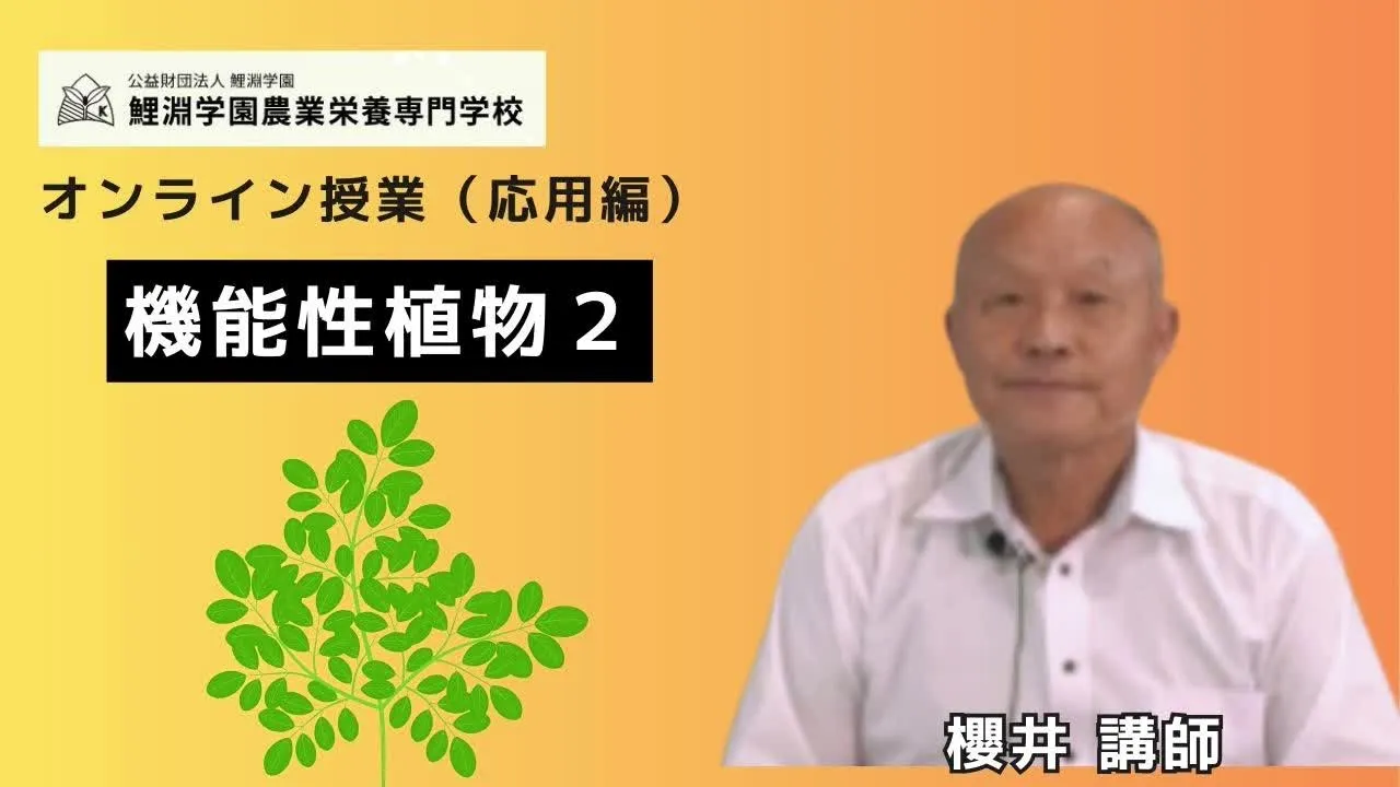 機能性植物❷ モリンガとエキナセアの栽培・加工・健康効果を学ぶ