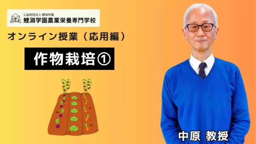 作物栽培❶ イチゴとキュウリの栽培基礎知識
