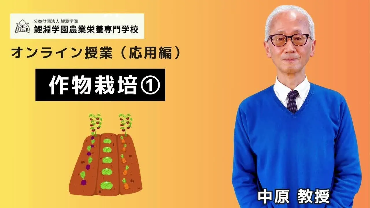 野菜栽培❶ 野菜・食用作物の分類と連作障害対策の基礎知識