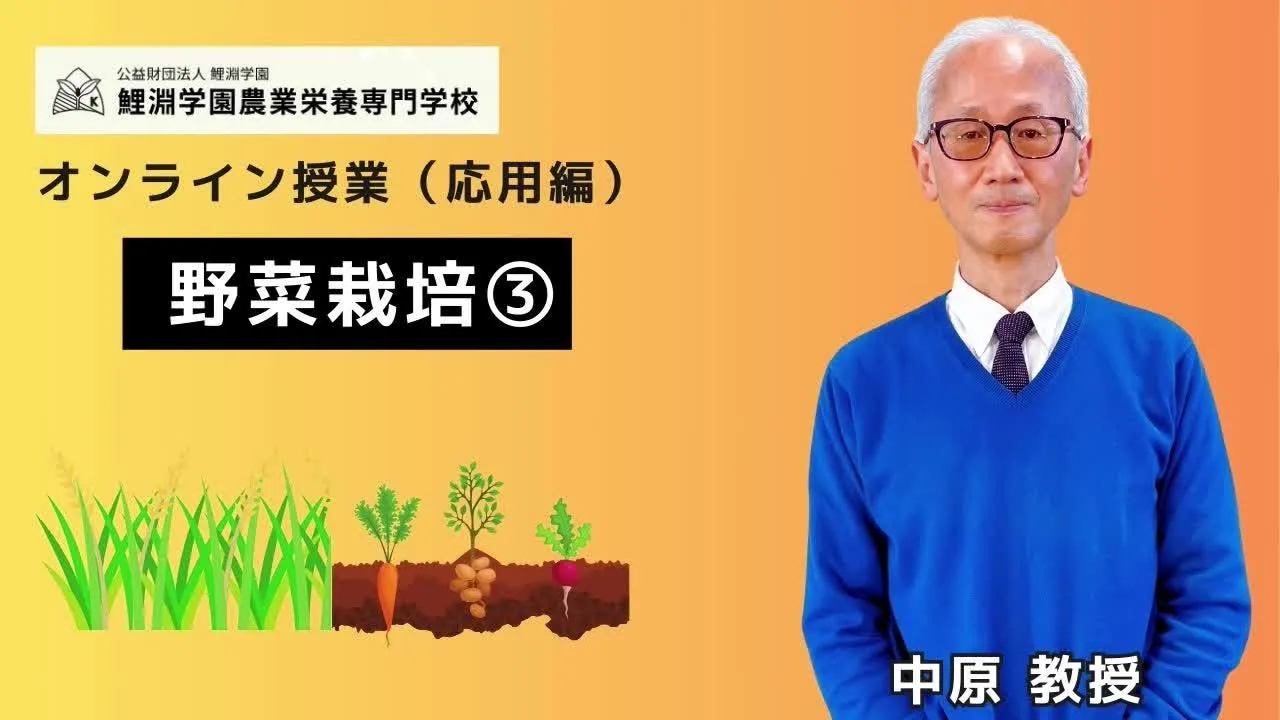 野菜栽培➌ トマト栽培の基礎:原産地の歴史と産地ごとの気候条件