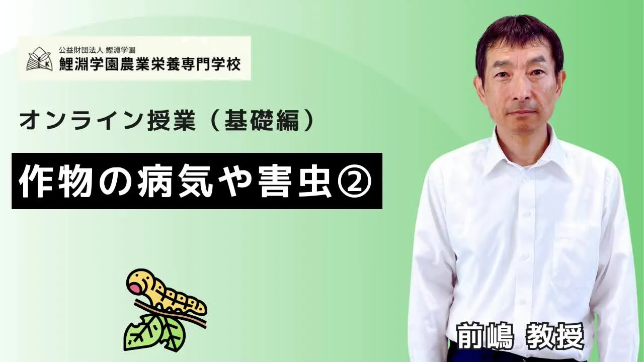 作物の病気や害虫❷ 植物の病気と害虫を見分ける ウイルス・細菌・カビと代表的な害虫の基礎知識